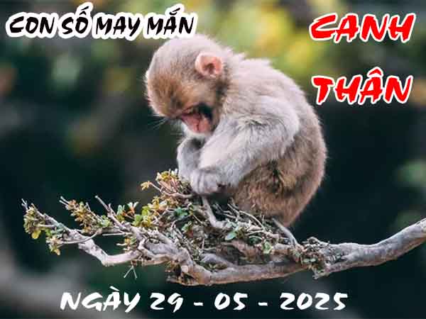 Con số tài lộc tuổi Canh Thân ngày 29/5/2025 thứ 5 hôm nay