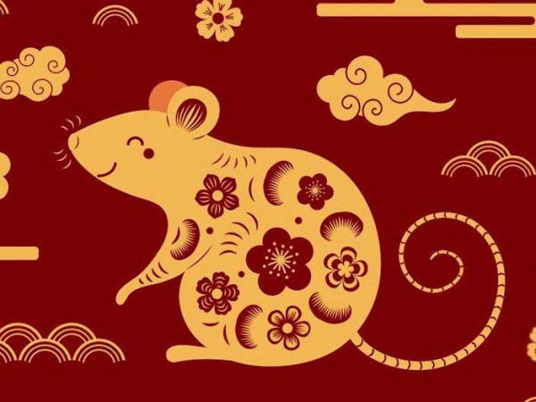 Tổng quan về người tuổi Nhâm Tý ngày 17/5/2025 thứ 7 hôm nay