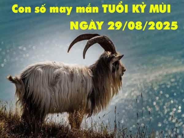 Con số tài lộc tuổi Kỷ Mùi ngày 29/8/2025 thứ 6 hôm nay