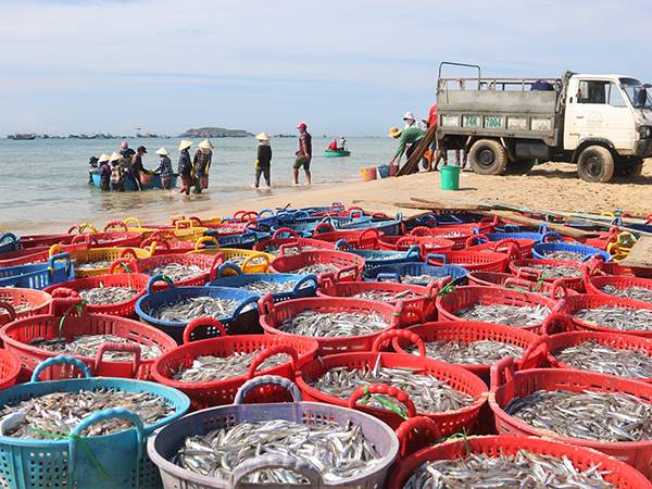 Nằm mơ thấy mua cá nhắc nhở cẩn trọng điều gì?