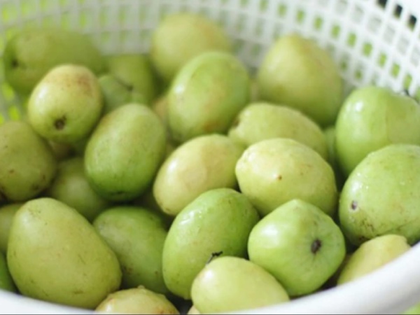 Nằm mơ thấy quả táo ta có thông điệp như nào?