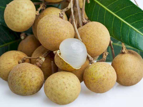 Mơ thấy quả nhãn: Điềm báo gì về tài lộc sắp tới?