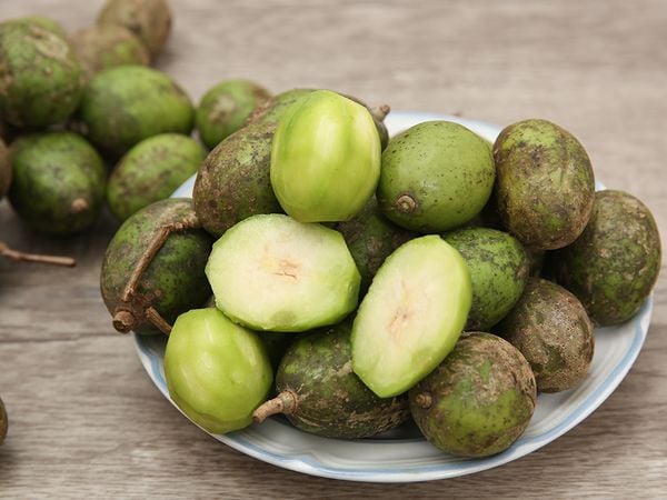 Nằm mơ thấy quả cóc và ý nghĩa bí ẩn không thể bỏ qua