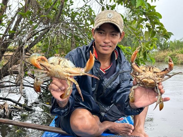 Nằm mơ thấy bắt cua đồng, bắt cua biển là điềm báo gì?
