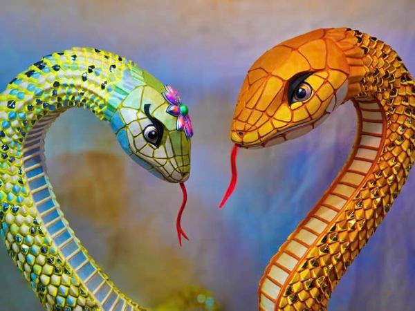 Mơ thấy 2 con rắn bò vào nhà