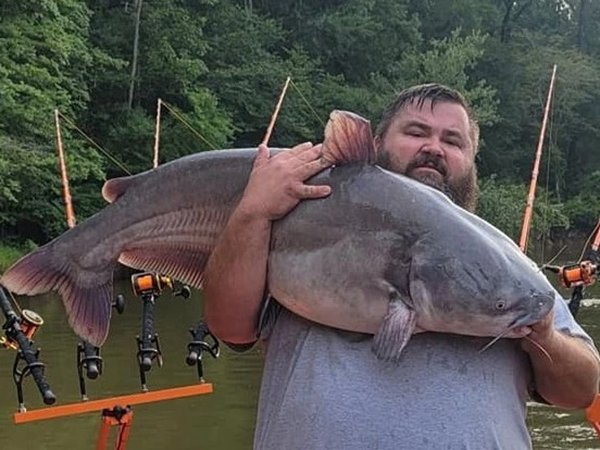 Nằm mơ thấy bắt cá trê là điềm gì, dự báo đen hay đỏ?